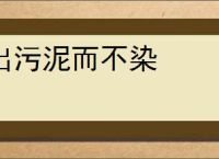 出污泥而不染