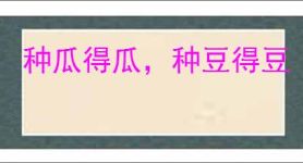 种瓜得瓜，种豆得豆