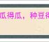 种瓜得瓜，种豆得豆