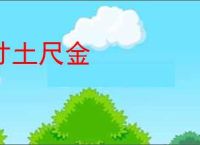 寸土尺金