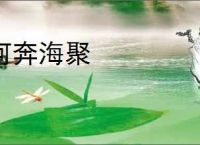 河奔海聚