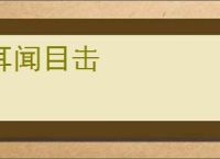 耳闻目击