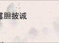 露胆披诚