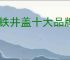铸铁井盖十大品牌