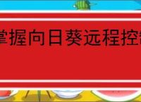 掌握向日葵远程控制：详细教程与技巧实现高效远程协助