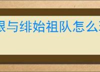 银与绯始祖队怎么玩,银与绯始祖队阵容推荐