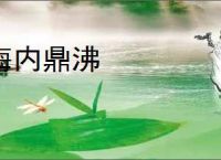 海内鼎沸