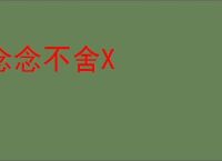 念念不舍X