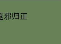 返邪归正