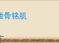 镂骨铭肌