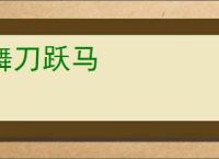 舞刀跃马