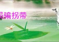 局骗拐带