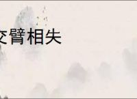 交臂相失