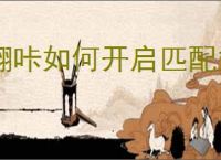 翻咔如何开启匹配好友私信