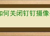 如何关闭钉钉摄像头人脸追踪