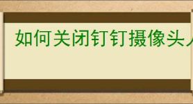 如何关闭钉钉摄像头人脸追踪
