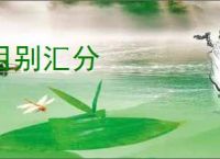 目别汇分