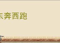 东奔西跑