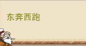东奔西跑