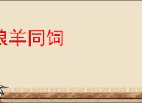 狼羊同饲