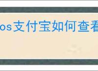 ios支付宝如何查看健康码URL代码