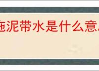 拖泥带水是什么意思