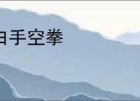 白手空拳