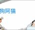 阿狗阿猫