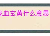 龙血玄黄什么意思