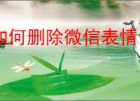 如何删除微信表情包