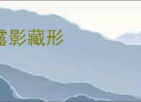 露影藏形