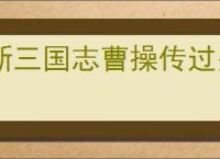 新三国志曹操传过关斩将怎么打曹操,新三国志曹操传过关斩将曹操攻略