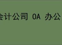 会计公司 OA 办公自动化软件系统是什么