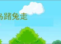 乌踷兔走