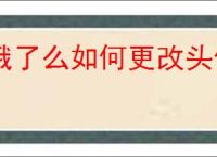 饿了么如何更改头像