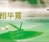 本相毕露