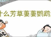 什么芳草萋萋鹦鹉洲