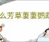 什么芳草萋萋鹦鹉洲