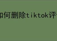 如何删除tiktok评论