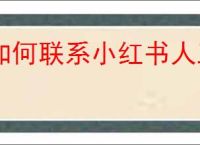 如何联系小红书人工客服？快速获取帮助指南