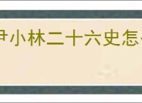 尹小林二十六史怎么样