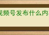 视频号发布什么内容能涨粉