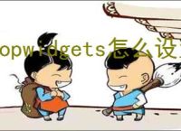 topwidgets怎么设置透明组件