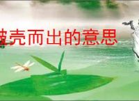 破壳而出的意思