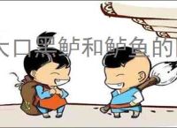 大口黑鲈和鲈鱼的区别