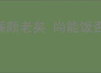 廉颇老矣 尚能饭否