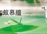 如蚁慕膻