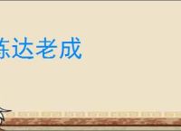 练达老成