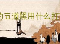 钓五道黑用什么打窝