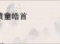 黄童皓首